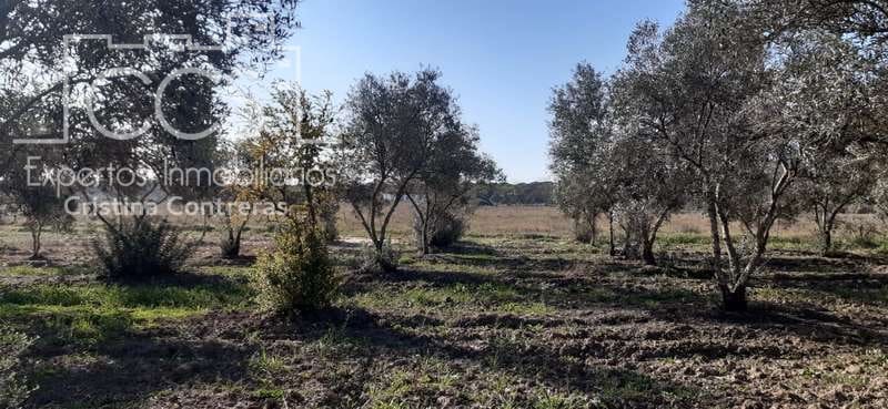 Byggegrund til salg i Almonte - € 20.000 (Ref: 6905618)