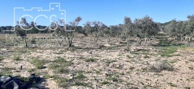 Byggegrund til salg i Almonte - € 20.000 (Ref: 6905618)