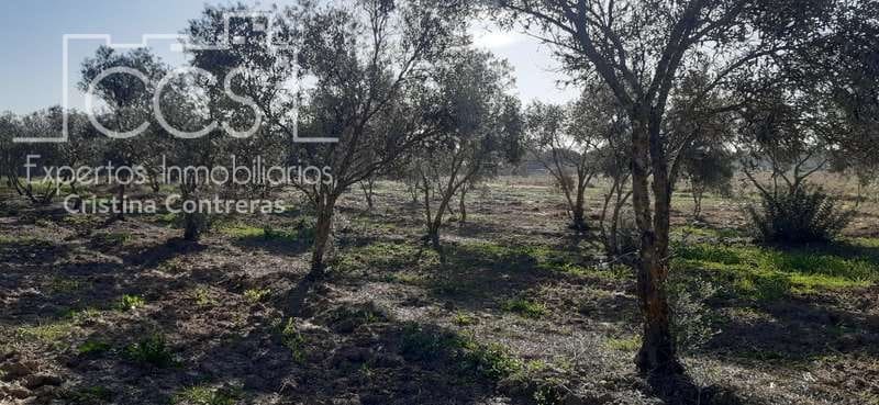 Byggegrund til salg i Almonte - € 20.000 (Ref: 6905618)