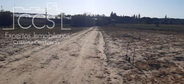 Area Edificabile in vendita in Almonte - 20.000 € (Rif: 6905618)