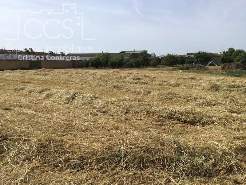 Byggegrund til salg i Olivares - € 800.000 (Ref: 6989252)