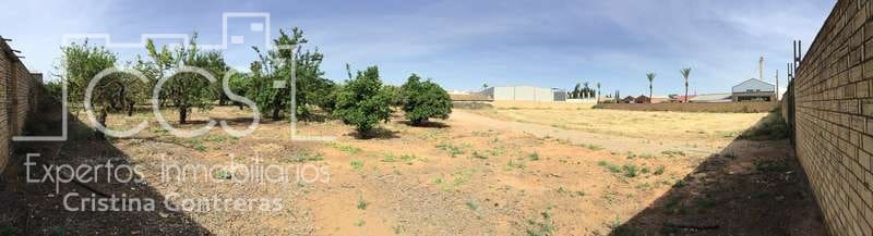 Byggegrund til salg i Olivares - € 800.000 (Ref: 6989252)