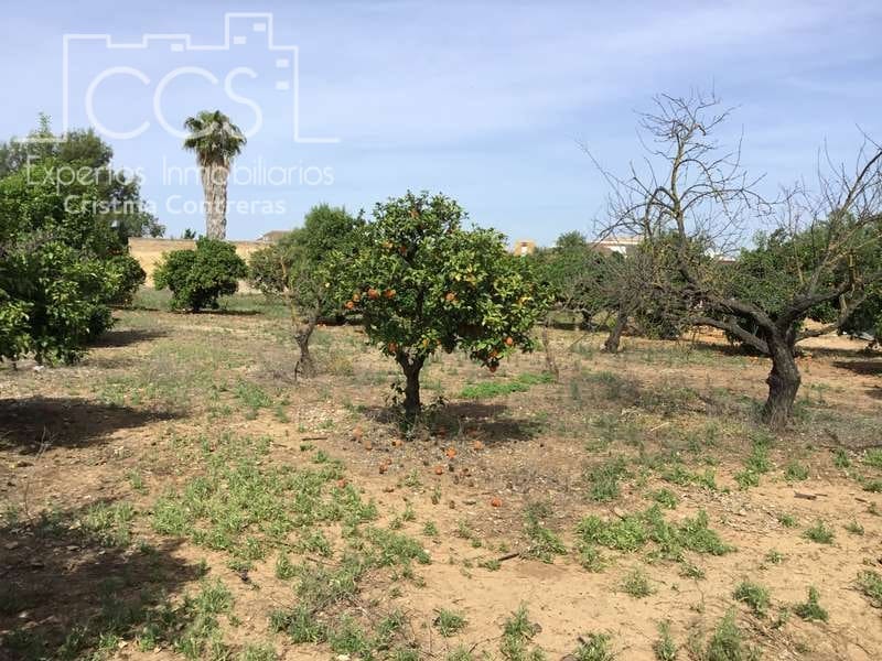 Byggegrund til salg i Olivares - € 800.000 (Ref: 6989252)