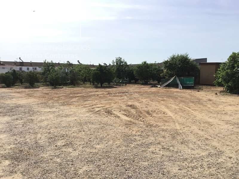 Byggegrund til salg i Olivares - € 800.000 (Ref: 6989252)