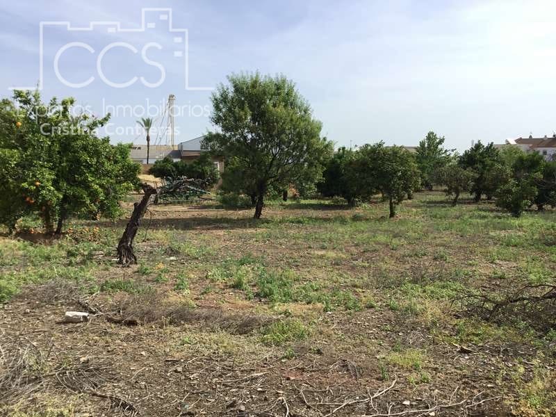 Byggegrund til salg i Olivares - € 800.000 (Ref: 6989252)