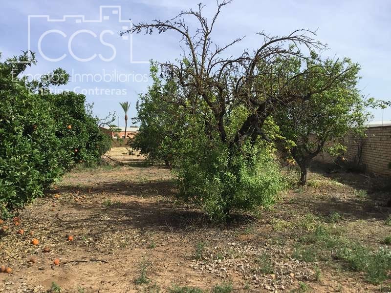 Byggegrund til salg i Olivares - € 800.000 (Ref: 6989252)