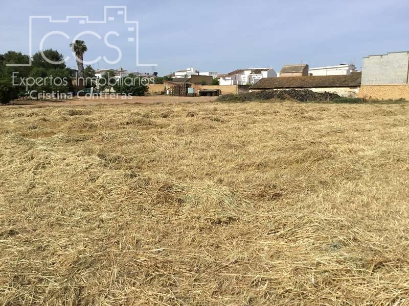 Byggegrund til salg i Olivares - € 800.000 (Ref: 6989252)