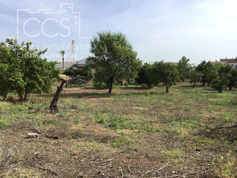 Building Plot for sale in Olivares - € 800,000 (Ref: 6989252)