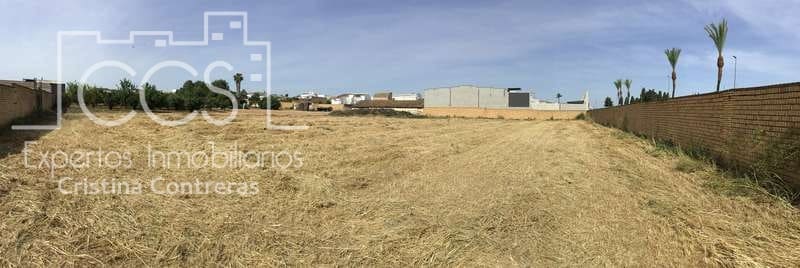 Building Plot for sale in Olivares - € 800,000 (Ref: 6989252)