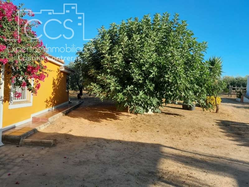 3 Zimmer Finca/Landgut zu verkaufen in Rociana del Condado mit Pool Garage - 229.000 € (Ref: 7035929)