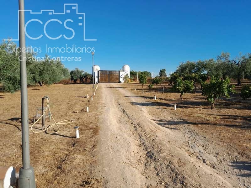 3 Zimmer Finca/Landgut zu verkaufen in Rociana del Condado mit Pool Garage - 229.000 € (Ref: 7035929)