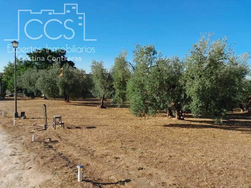 3 Zimmer Finca/Landgut zu verkaufen in Rociana del Condado mit Pool Garage - 229.000 € (Ref: 7035929)