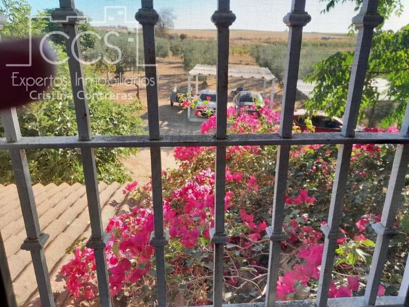 3 Zimmer Finca/Landgut zu verkaufen in Rociana del Condado mit Pool Garage - 229.000 € (Ref: 7035929)