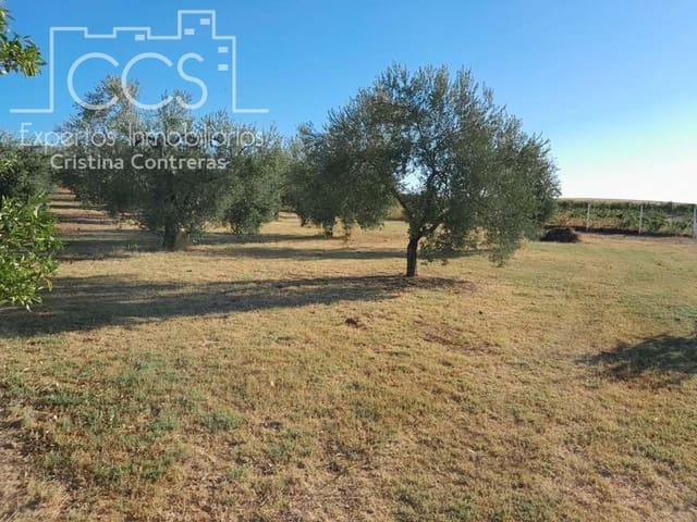 3 Zimmer Finca/Landgut zu verkaufen in Rociana del Condado mit Pool Garage - 229.000 € (Ref: 7035929)