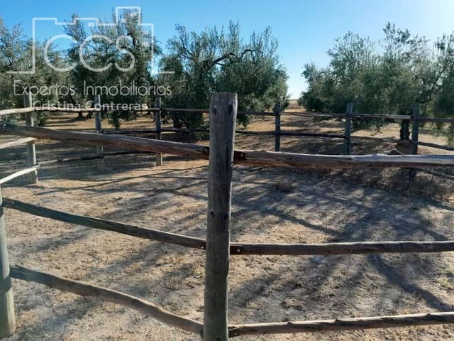 3 Zimmer Finca/Landgut zu verkaufen in Rociana del Condado mit Pool Garage - 229.000 € (Ref: 7035929)