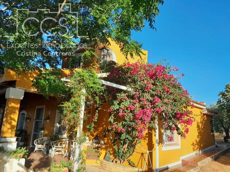 3 Zimmer Finca/Landgut zu verkaufen in Rociana del Condado mit Pool Garage - 229.000 € (Ref: 7035929)