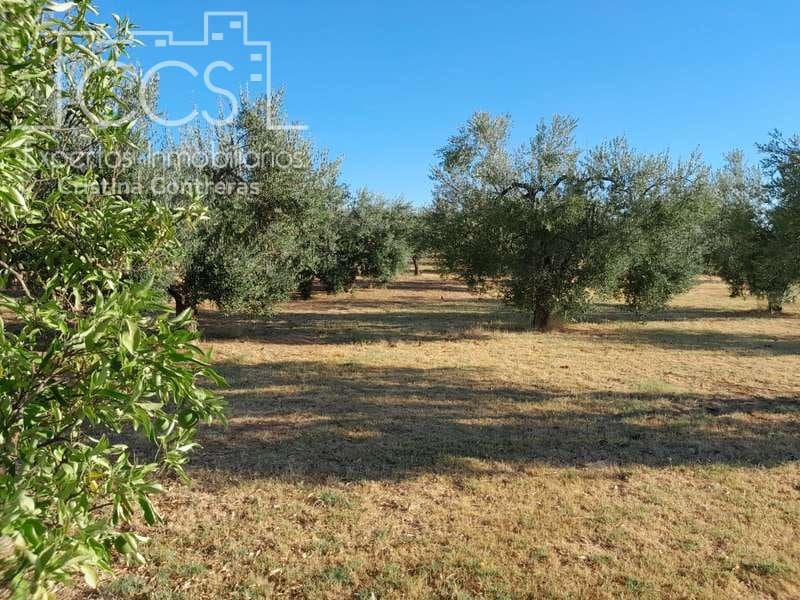 3 Zimmer Finca/Landgut zu verkaufen in Rociana del Condado mit Pool Garage - 229.000 € (Ref: 7035929)