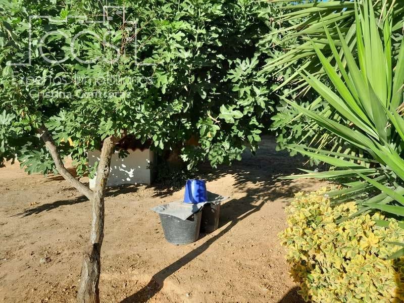 3 Zimmer Finca/Landgut zu verkaufen in Rociana del Condado mit Pool Garage - 229.000 € (Ref: 7035929)