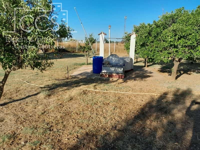 3 Zimmer Finca/Landgut zu verkaufen in Rociana del Condado mit Pool Garage - 229.000 € (Ref: 7035929)