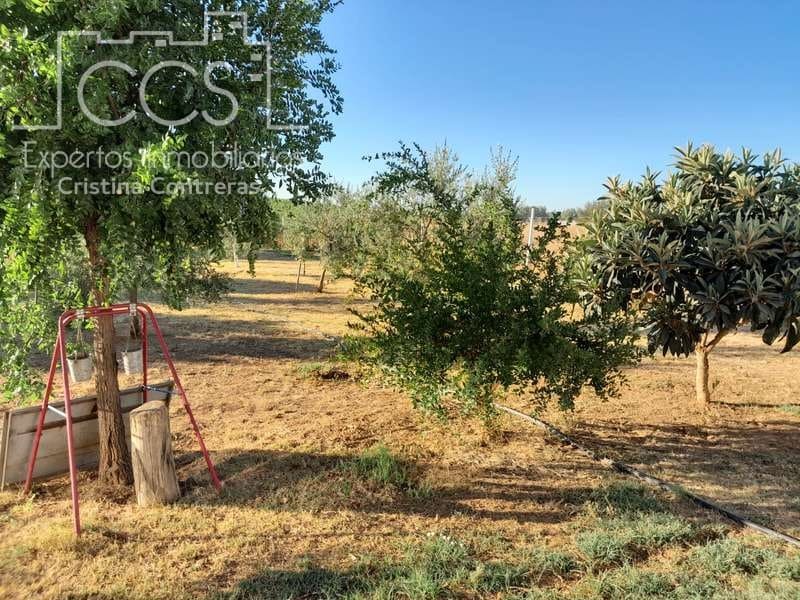 3 Zimmer Finca/Landgut zu verkaufen in Rociana del Condado mit Pool Garage - 229.000 € (Ref: 7035929)