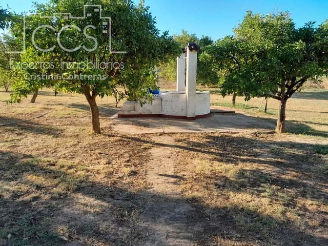 3 Zimmer Finca/Landgut zu verkaufen in Rociana del Condado mit Pool Garage - 229.000 € (Ref: 7035929)