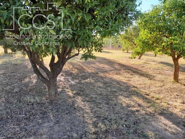 3 Zimmer Finca/Landgut zu verkaufen in Rociana del Condado mit Pool Garage - 229.000 € (Ref: 7035929)