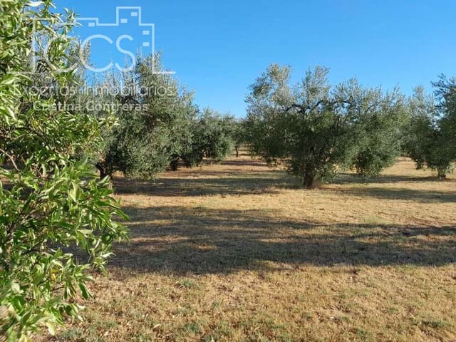 3 Zimmer Finca/Landgut zu verkaufen in Rociana del Condado mit Pool Garage - 229.000 € (Ref: 7035929)