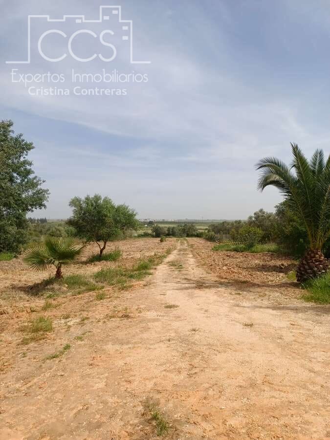 3 Zimmer Finca/Landgut zu verkaufen in Rociana del Condado mit Pool - 110.000 € (Ref: 7104737)