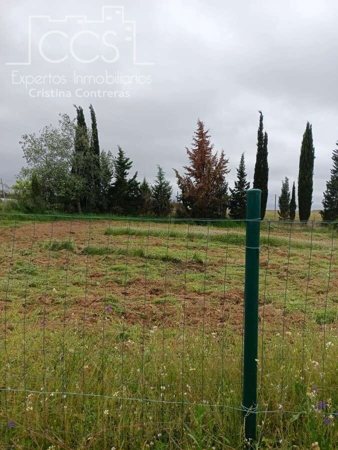 3 Zimmer Finca/Landgut zu verkaufen in Rociana del Condado mit Pool - 110.000 € (Ref: 7104737)