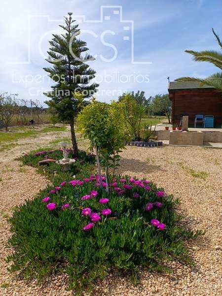 3 Zimmer Finca/Landgut zu verkaufen in Rociana del Condado mit Pool - 110.000 € (Ref: 7104737)