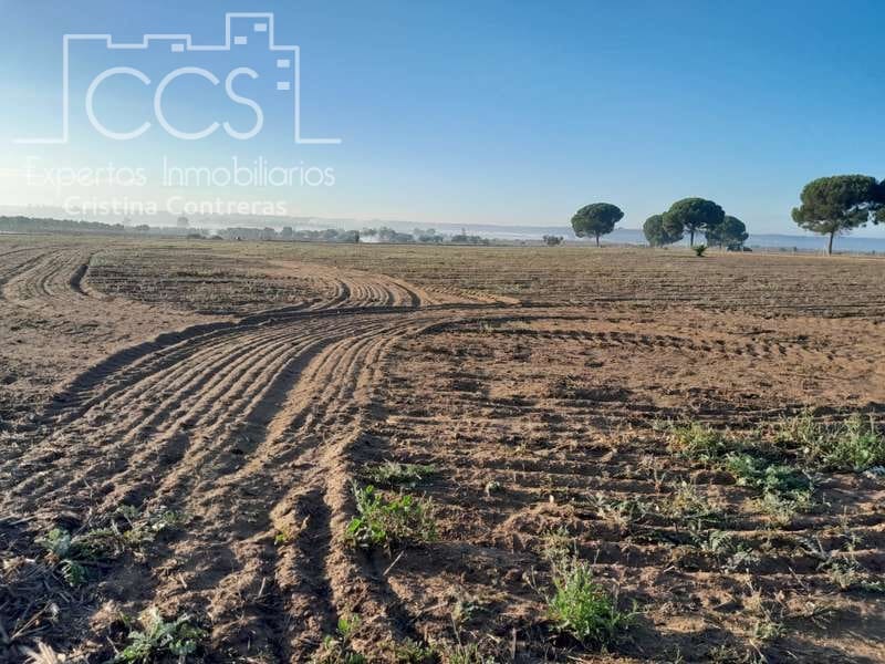 Building Plot for sale in Almonte - € 28,000 (Ref: 7323878)