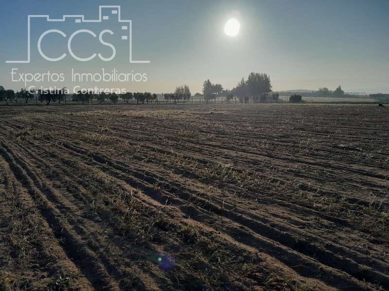 Building Plot for sale in Almonte - € 28,000 (Ref: 7323878)