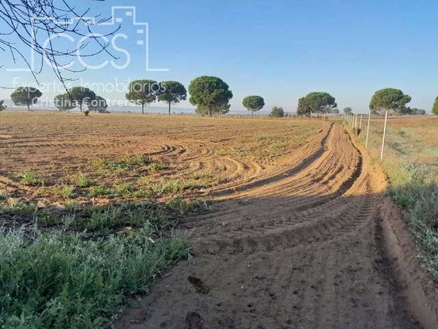 Building Plot for sale in Almonte - € 28,000 (Ref: 7323878)