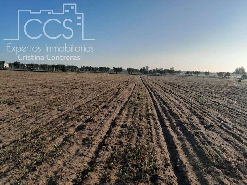 Building Plot for sale in Almonte - € 28,000 (Ref: 7323878)