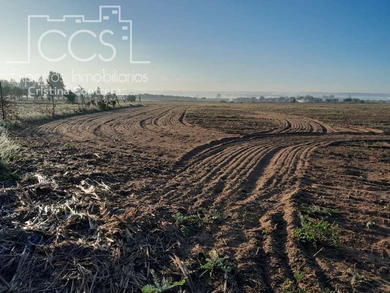 Building Plot for sale in Almonte - € 28,000 (Ref: 7323878)