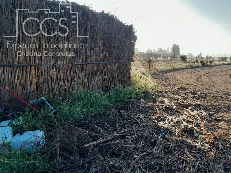 Building Plot for sale in Almonte - € 28,000 (Ref: 7323878)