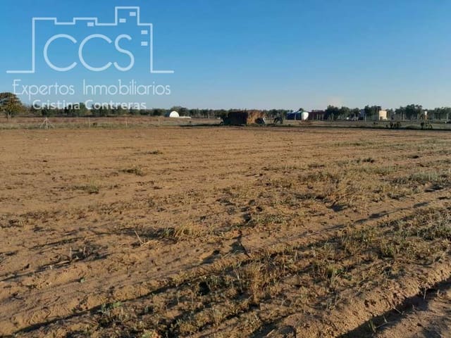 Building Plot for sale in Almonte - € 28,000 (Ref: 7323878)