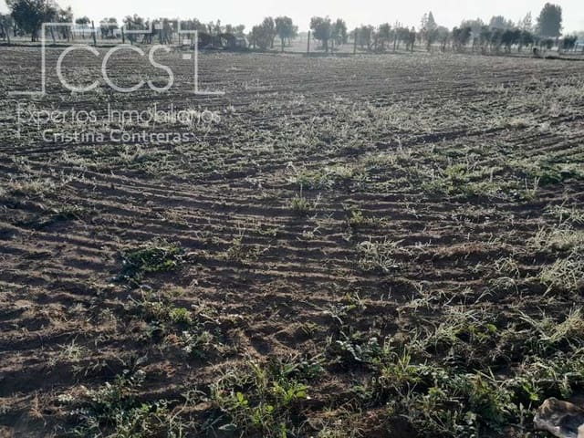 Building Plot for sale in Almonte - € 28,000 (Ref: 7323878)