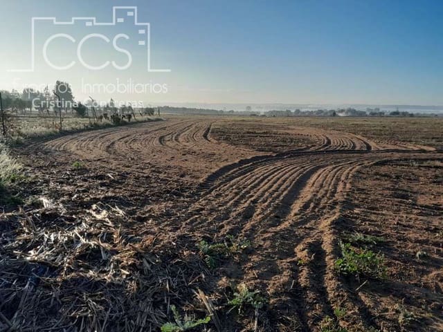 Building Plot for sale in Almonte - € 28,000 (Ref: 7323878)