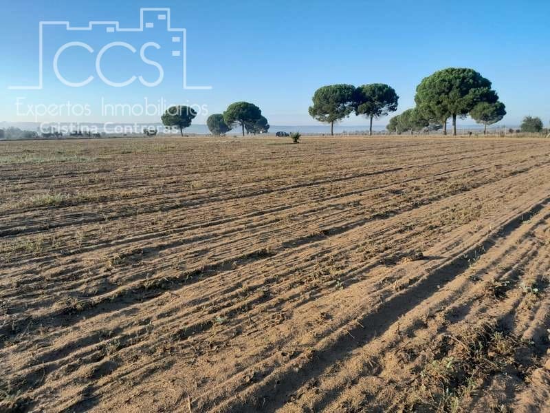 Area Edificabile in vendita in Almonte - 28.000 € (Rif: 7323878)