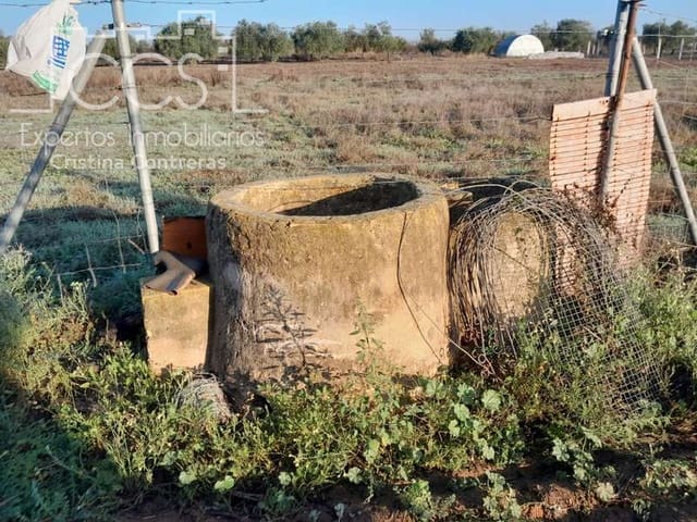 Area Edificabile in vendita in Almonte - 28.000 € (Rif: 7323878)