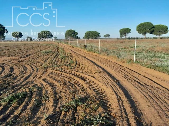 Area Edificabile in vendita in Almonte - 28.000 € (Rif: 7323878)