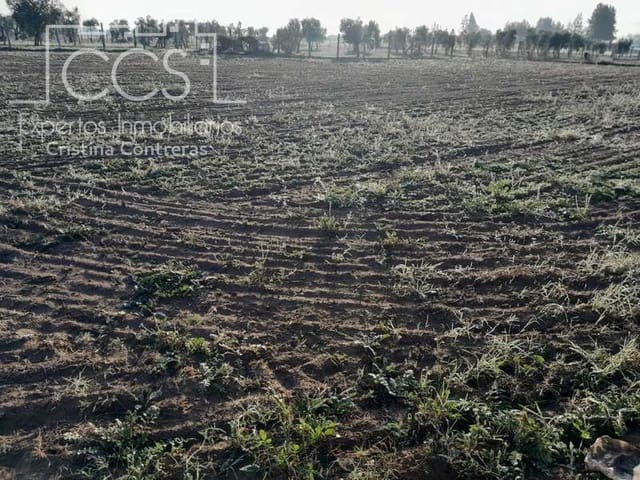 Area Edificabile in vendita in Almonte - 28.000 € (Rif: 7323878)