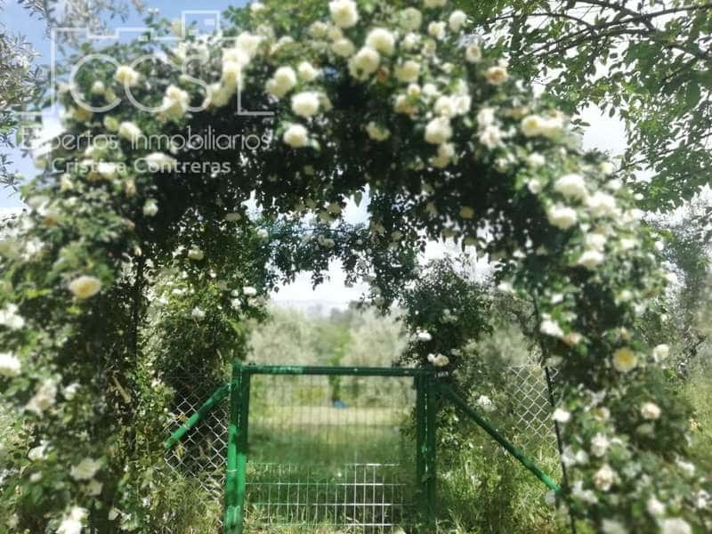 7 soveværelse Finca/Landehus til salg i Pilas med swimmingpool - € 320.000 (Ref: 7356622)