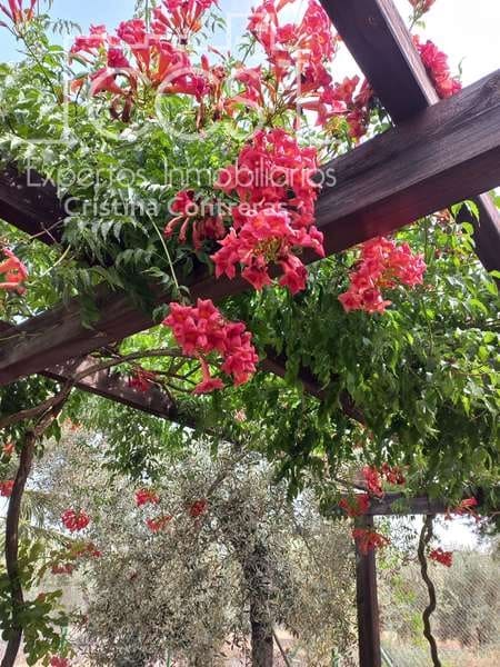 7 soveværelse Finca/Landehus til salg i Pilas med swimmingpool - € 320.000 (Ref: 7356622)