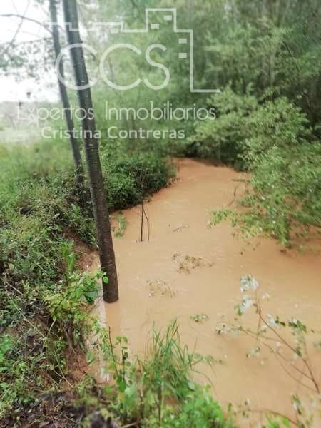 7 soveværelse Finca/Landehus til salg i Pilas med swimmingpool - € 320.000 (Ref: 7356622)