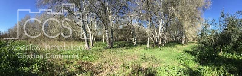 7 soveværelse Finca/Landehus til salg i Pilas med swimmingpool - € 320.000 (Ref: 7356622)