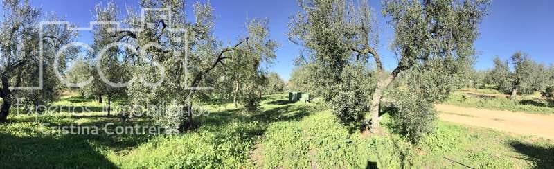 7 chambre Finca/Maison de Campagne à vendre à Pilas avec piscine - 305 000 € (Ref: 7356622)