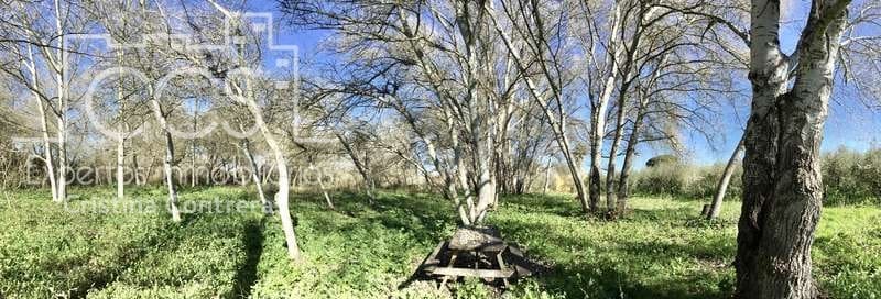 7 chambre Finca/Maison de Campagne à vendre à Pilas avec piscine - 305 000 € (Ref: 7356622)