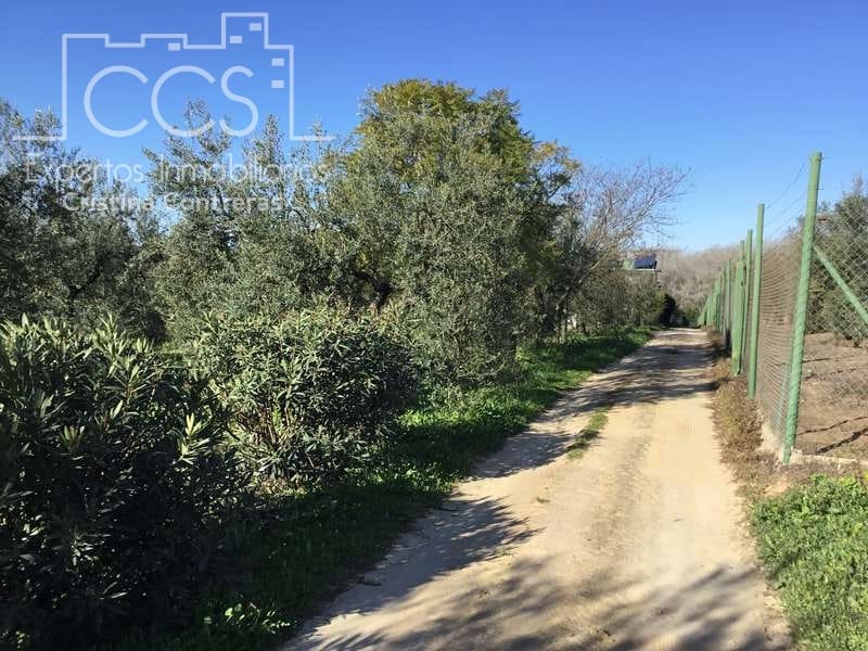 7 chambre Finca/Maison de Campagne à vendre à Pilas avec piscine - 305 000 € (Ref: 7356622)